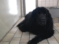 billy1