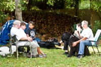 Sommerfest